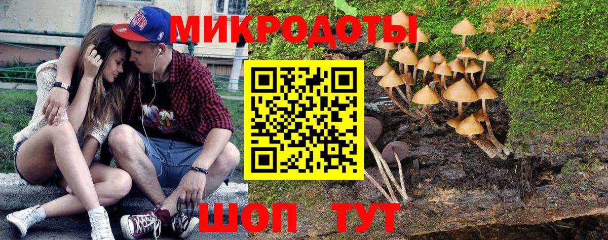 Галлюциногенные грибы мухоморы Копейск