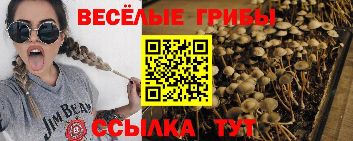 Копейск  Галлюциногенные грибы прущие грибы  Вход с VPN 